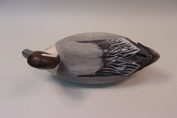 James Mense Pintail, Traverse City (#5176)