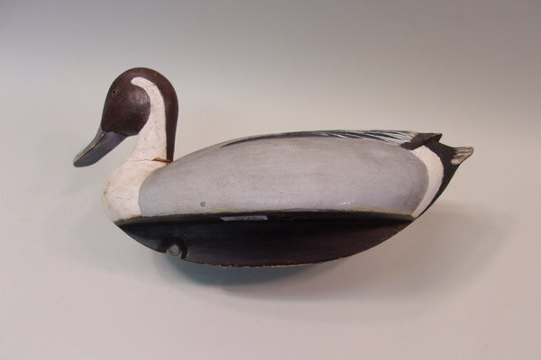 James Mense Pintail, Traverse City (#5176)