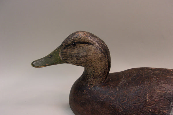 Early Ben Schmidt Black Duck, Original Paint (#5178)