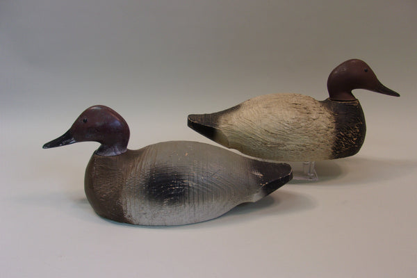 Animal Trap Canvasback Pair, Stamped (#5191)
