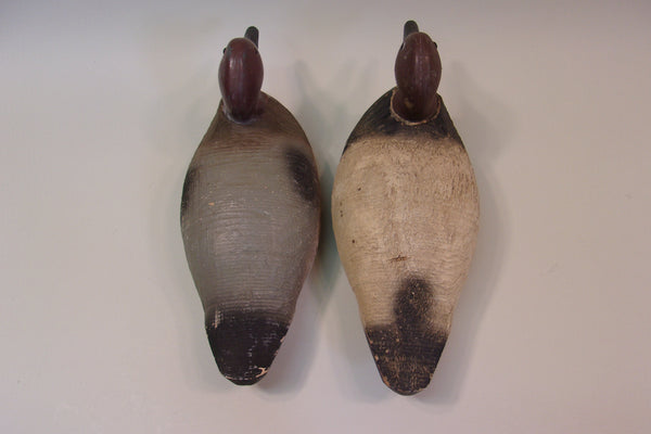Animal Trap Canvasback Pair, Stamped (#5191)
