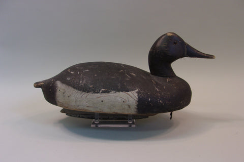 Michigan Canvasback (#5200)
