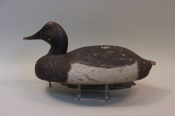 Michigan Canvasback (#5200)