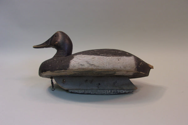 Michigan Canvasback (#5200)