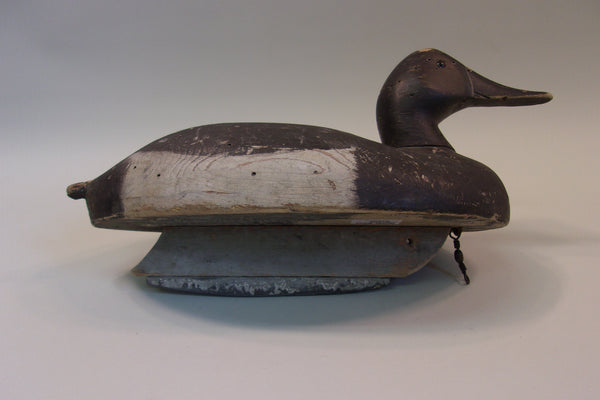 Michigan Canvasback (#5200)