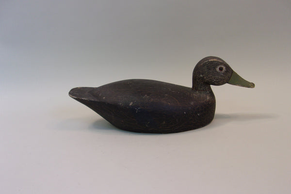 Fred Croft Black Duck, All Original (#5201)
