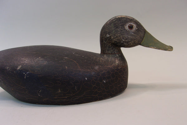 Fred Croft Black Duck, All Original (#5201)
