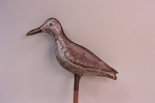 Tinnie Shorebird Strater & Sohier (#5228)