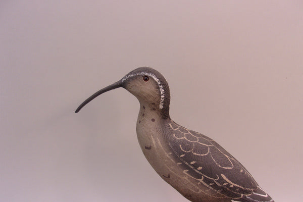 Herters 1893 Series Curlew (#5240)