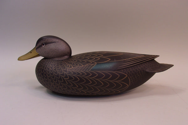 Frederick Brown Delaware River Black Duck (#5281)