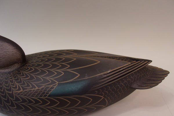 Frederick Brown Delaware River Black Duck (#5281)