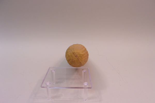 Carry-Lite Paper Mache Corn (#5284F)