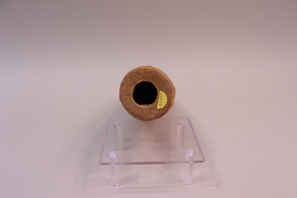 Carry-Lite Paper Mache Corn (#5284F)