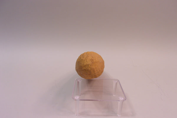 Carry-Lite Paper Mache Corn (#5284G)