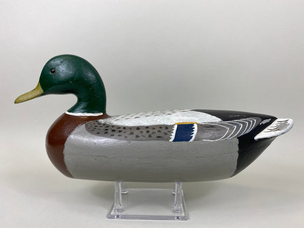 Charles Perdew Mallard Drake painted by Hadden (#5295)