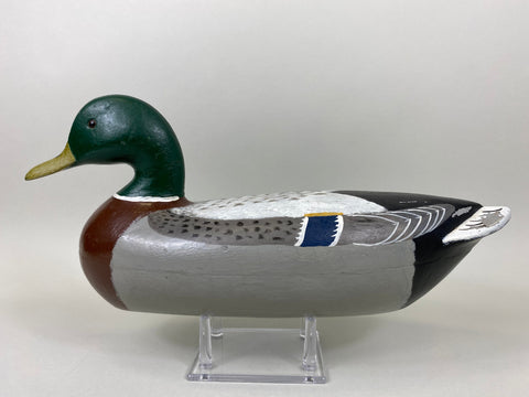 Charles Perdew Mallard Drake painted by Hadden (#5295)