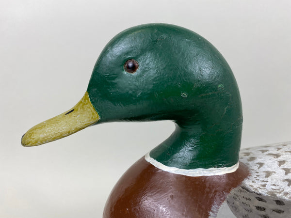 Charles Perdew Mallard Drake painted by Hadden (#5295)