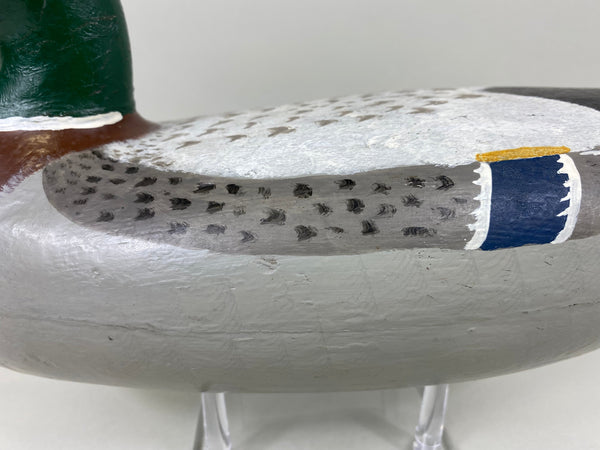 Charles Perdew Mallard Drake painted by Hadden (#5295)