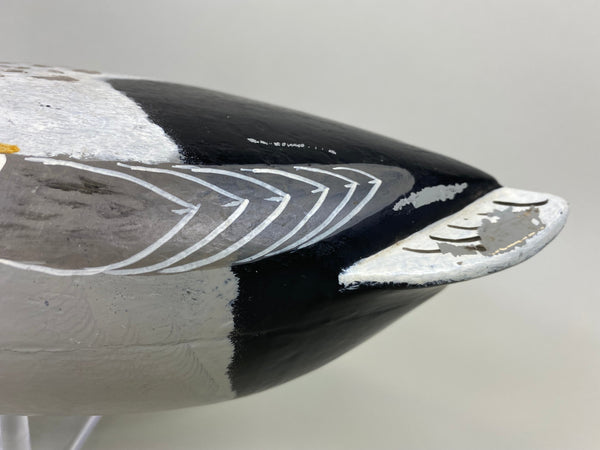 Charles Perdew Mallard Drake painted by Hadden (#5295)