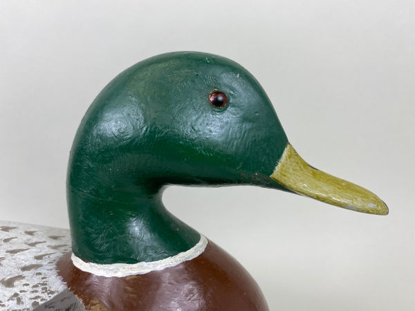 Charles Perdew Mallard Drake painted by Hadden (#5295)