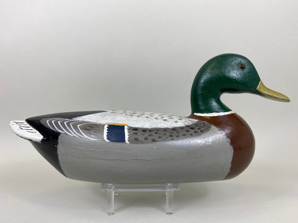 Charles Perdew Mallard Drake painted by Hadden (#5295)