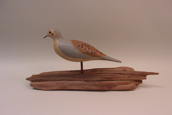 Mourning Dove. working decoy (#5296)