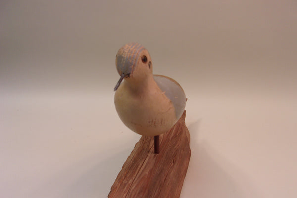 Mourning Dove. working decoy (#5296)