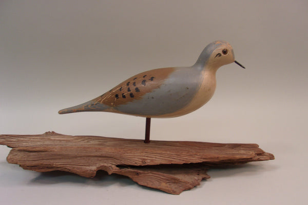 Mourning Dove. working decoy (#5296)