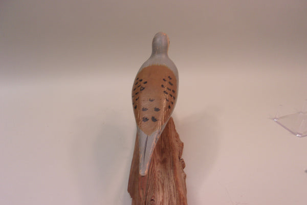Mourning Dove. working decoy (#5296)
