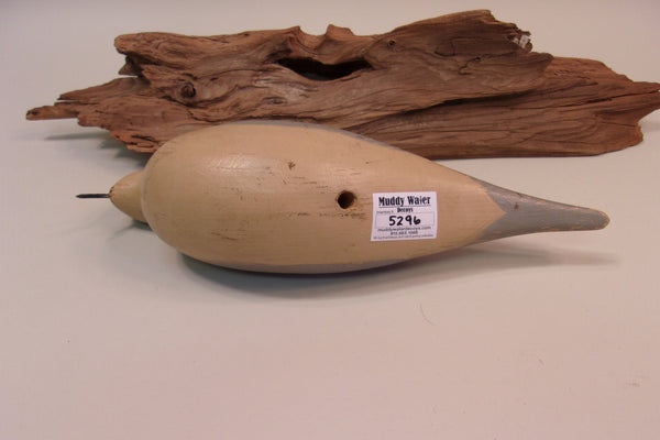 Mourning Dove. working decoy (#5296)