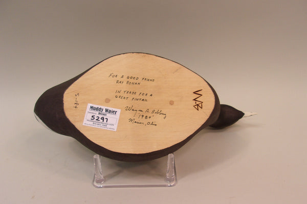 Swimming Coot, Wayne Boblenz, Ohio (#5297)