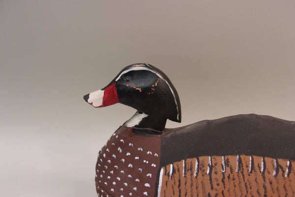 Lee Waterfield Canvas over Wire, Oversized Wood Duck (#5303)