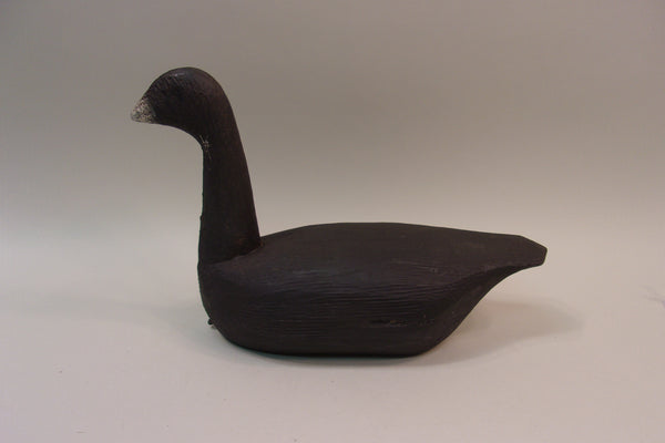 High Headed Wisconsin Coot (#5313)