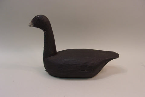 High Headed Wisconsin Coot (#5313)