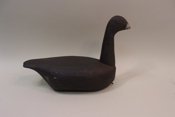 High Headed Wisconsin Coot (#5313)