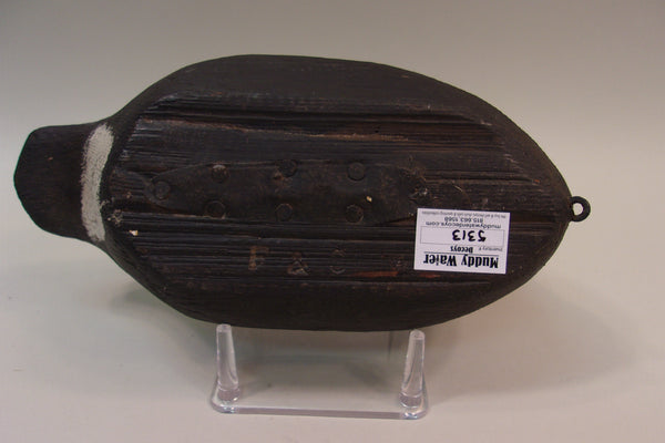 High Headed Wisconsin Coot (#5313)