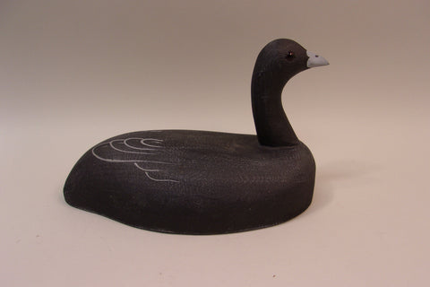 Tom Martindale Coot (#5317)