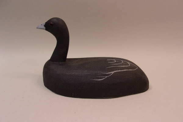 Tom Martindale Coot (#5317)