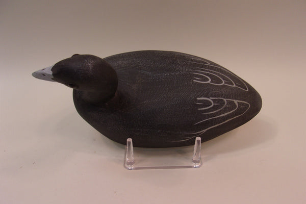 Tom Martindale Coot (#5317)