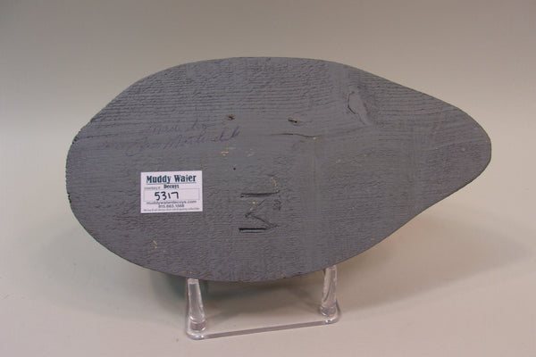 Tom Martindale Coot (#5317)