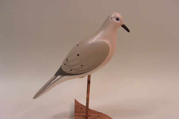 Morning Dove, H. Novak (#5323)