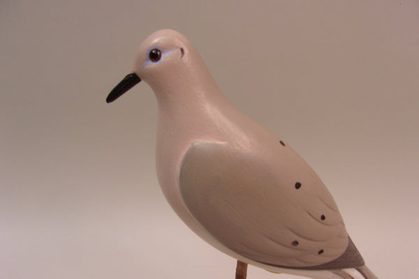 Morning Dove, H. Novak (#5323)