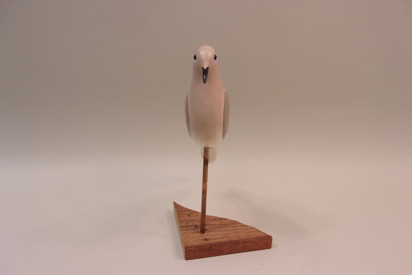 Morning Dove, H. Novak (#5323)