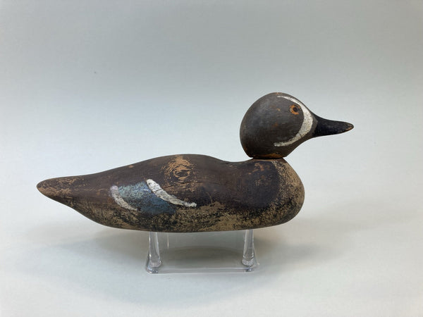 Mason Painted Eye Blue Wing Teal, Circa 1920's (#5325)