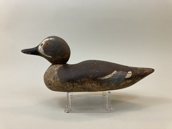 Mason Painted Eye Blue Wing Teal, Circa 1920's (#5325)