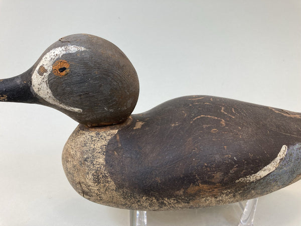 Mason Painted Eye Blue Wing Teal, Circa 1920's (#5325)