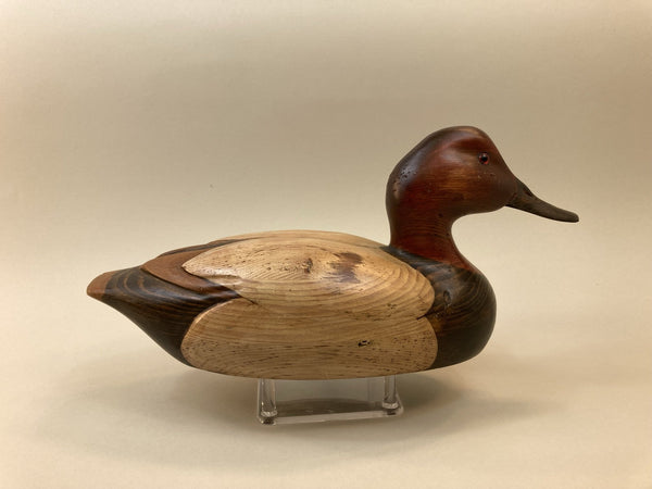 Tom Taber Canvasback (#5345)