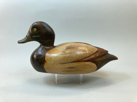 Tom Taber Blue Bill Drake, Signed (#5346)