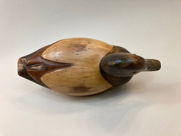 Tom Taber Blue Bill Drake, Signed (#5346)