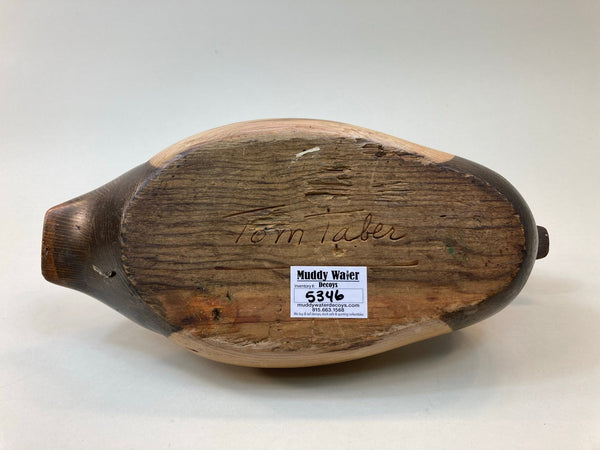 Tom Taber Blue Bill Drake, Signed (#5346)